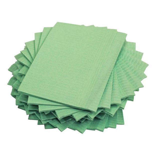 Picture of Bibs Green 13inX18in 2 ply Plasdent BIB-4 500Pc/Bx (PL)